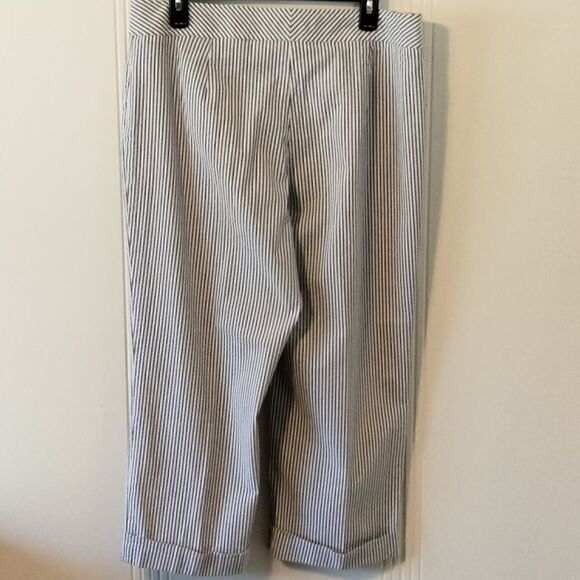 Plus Size Liz Claiborne / Audra Capris - Picture 3 of 6